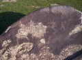 Click to see Chuluut River petroglyphs