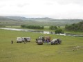 Click to see Orkhon River campsite